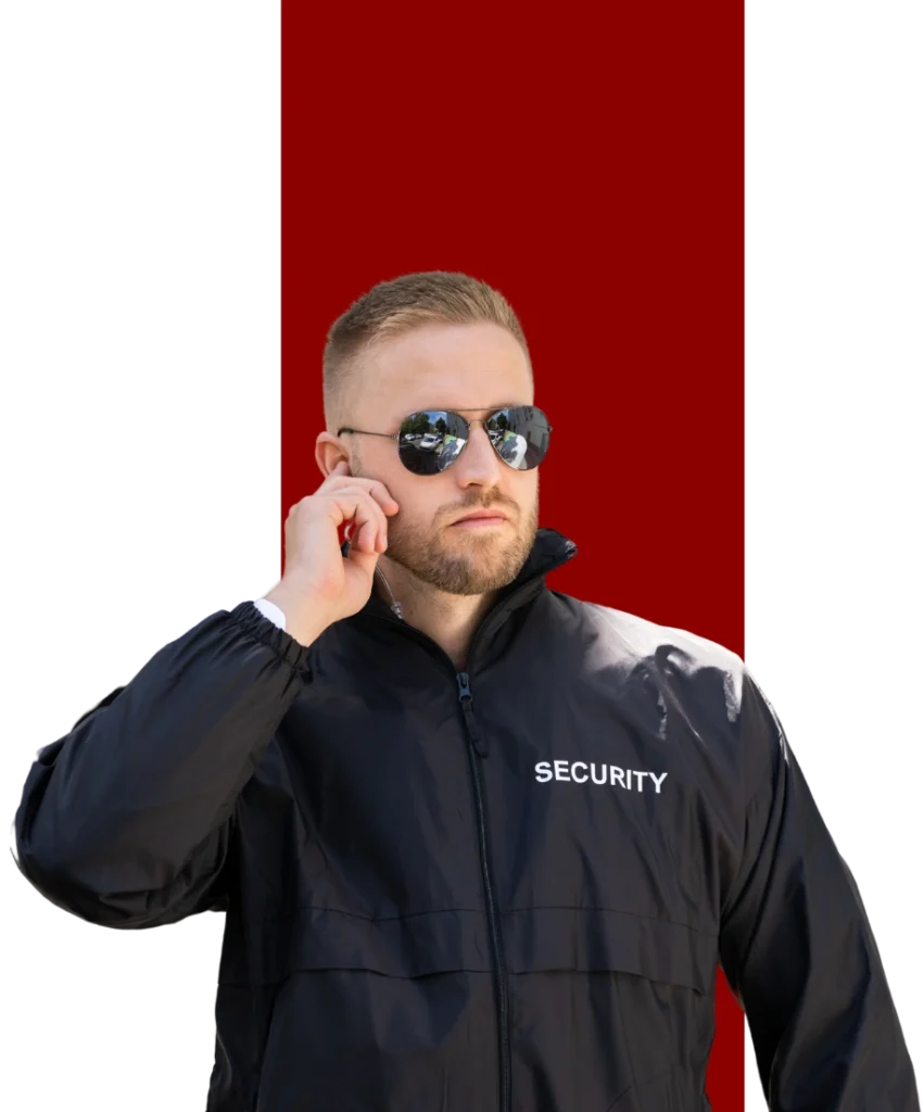 VIP-Security-Guard-Hero